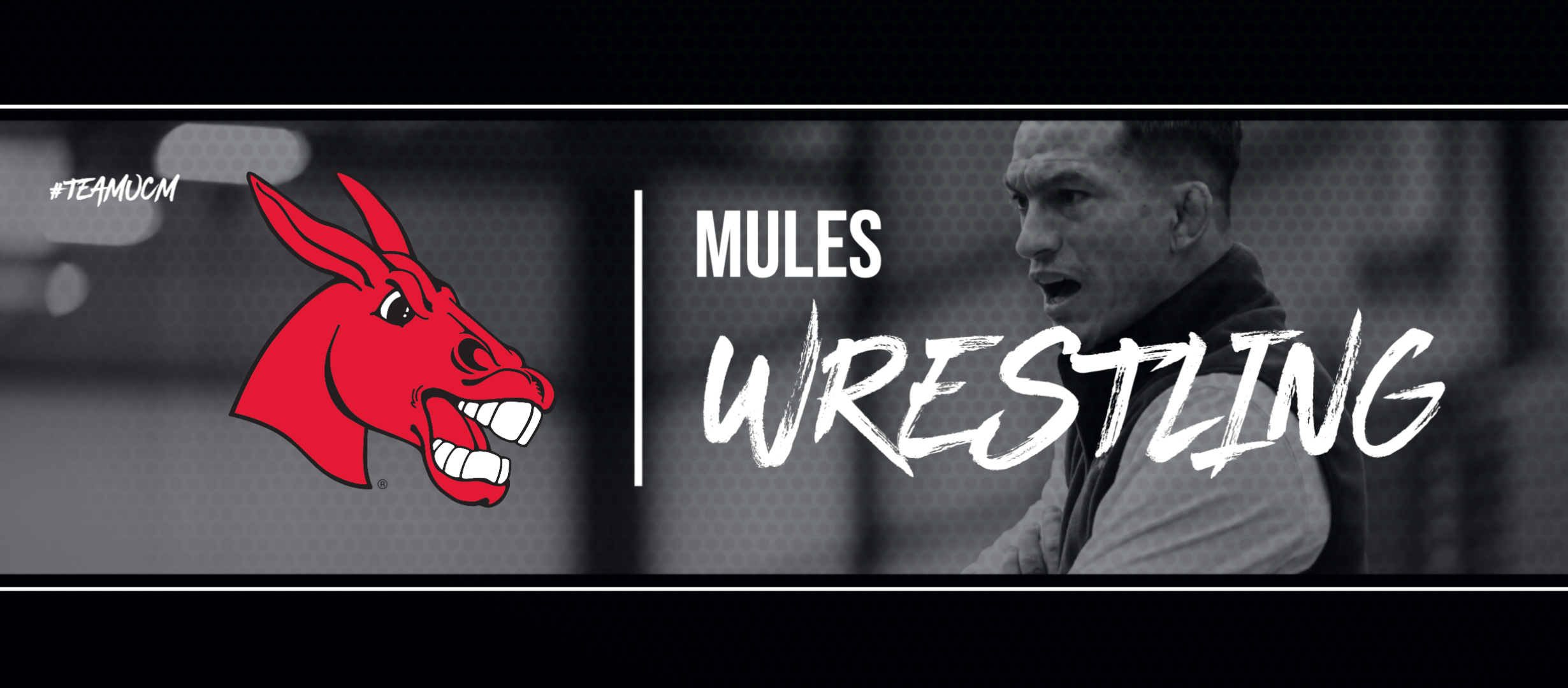 Mules Wrestling Mules Wrestling Graphic
